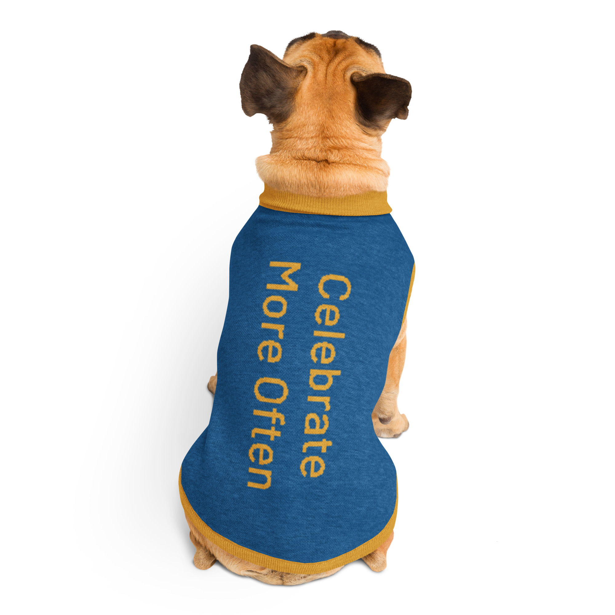 Know Joy Like A Dog Sweater