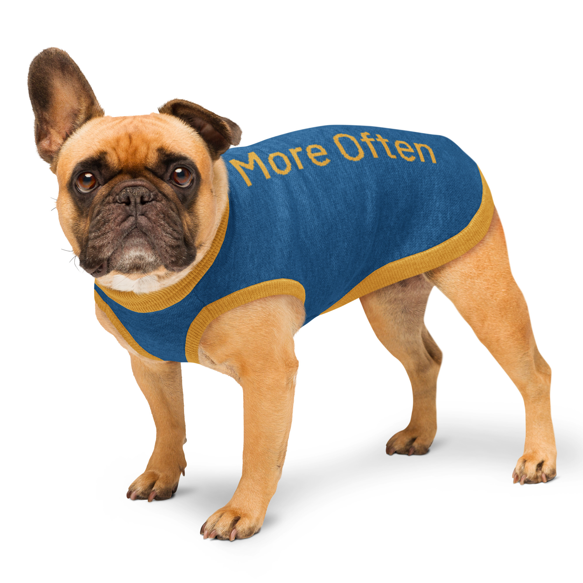 Dog sweater 2