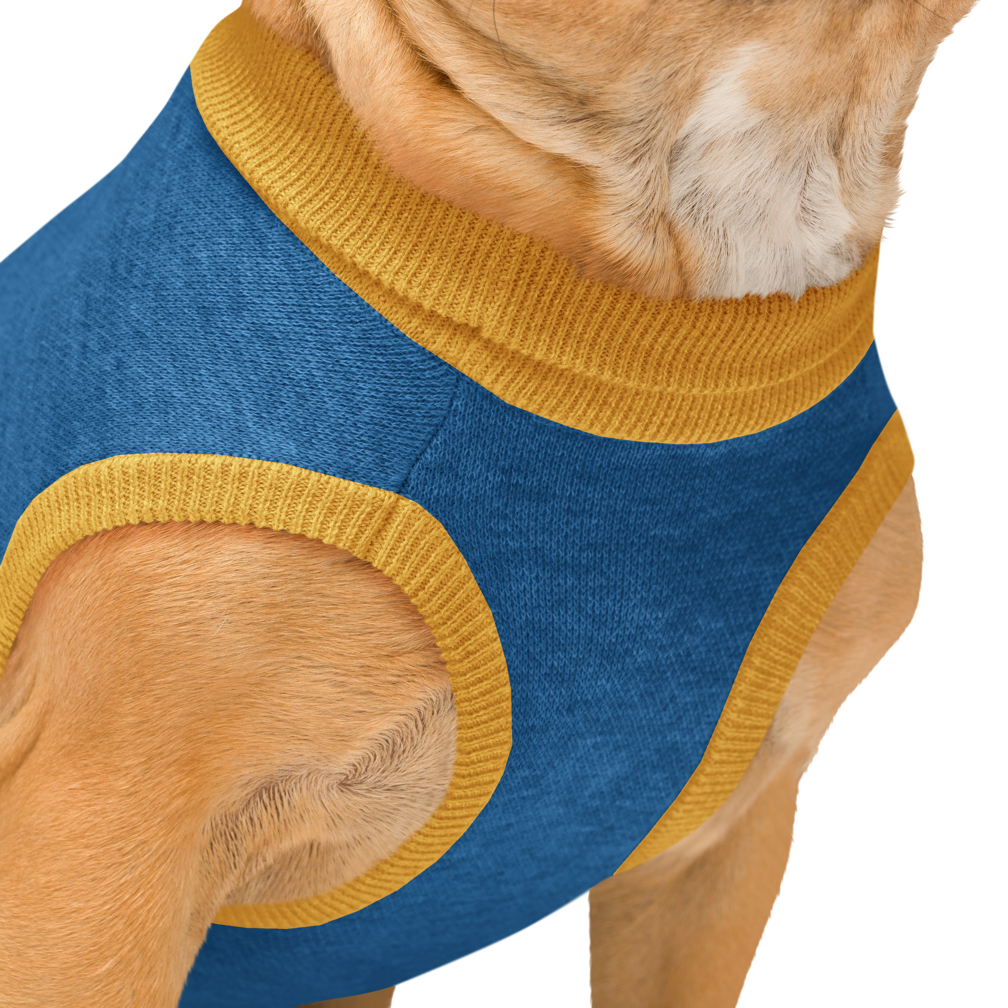 Dog sweater 3
