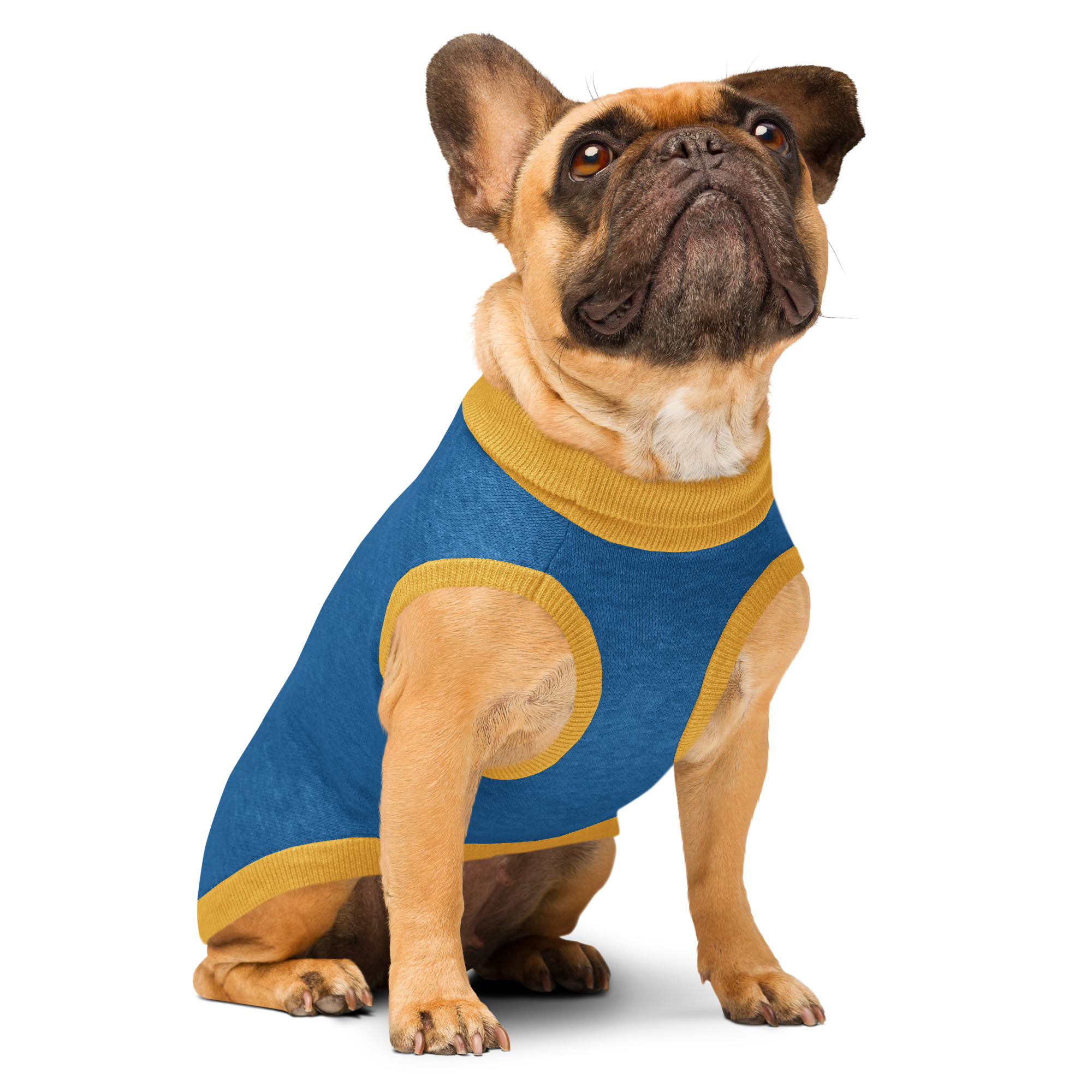 Dog sweater 4
