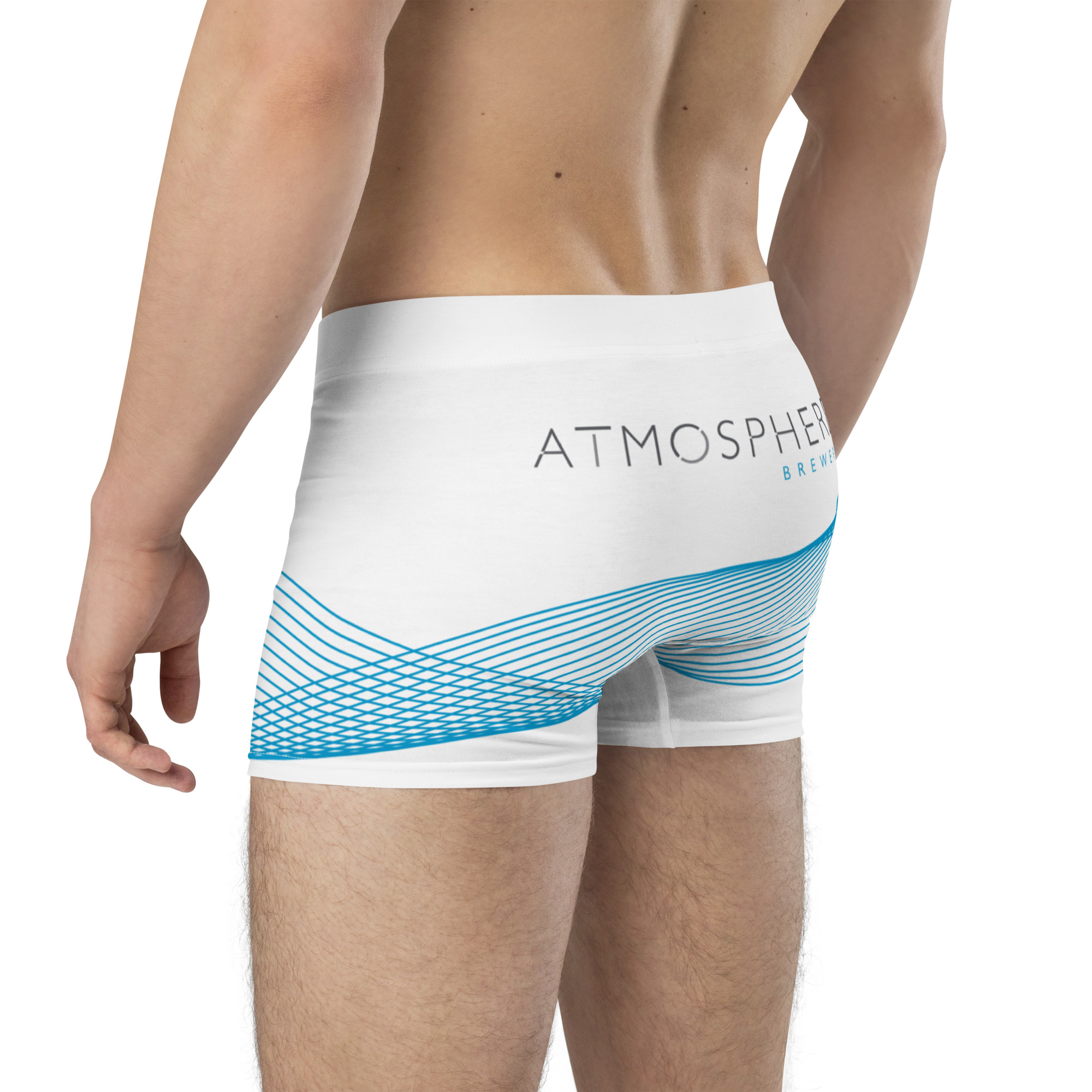 Swim trunks 4