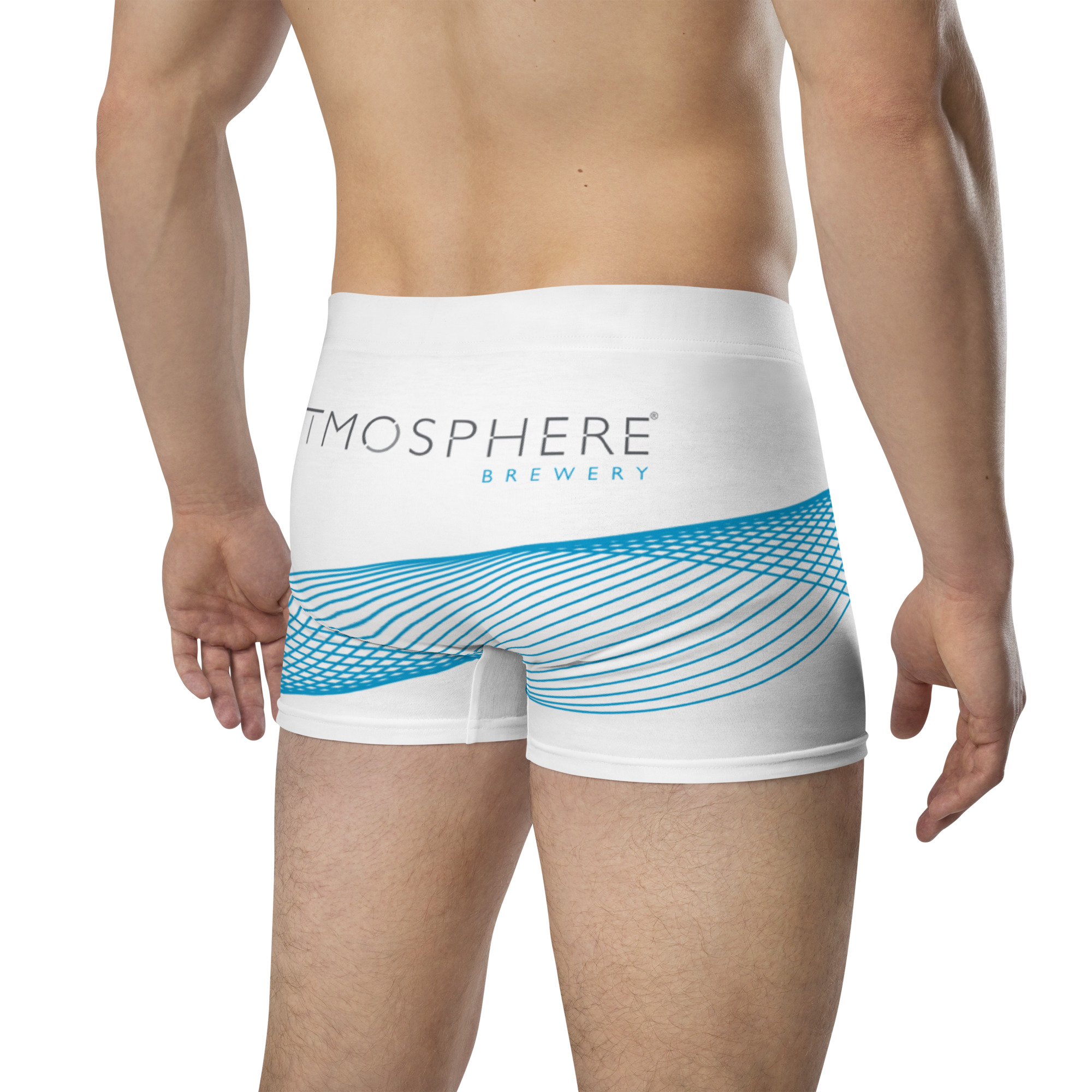Swim trunks 5